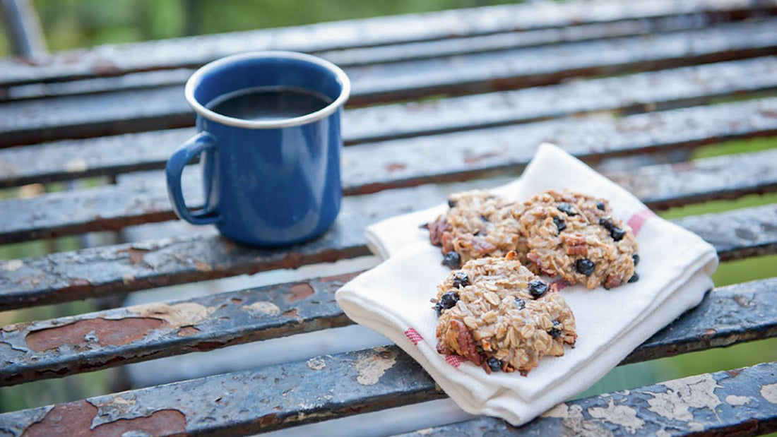 Blueberry Coconut Pecan Breakfast Cookies 